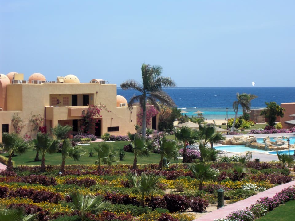 Blick in den Garten Wadi Lahmy Azur Resort