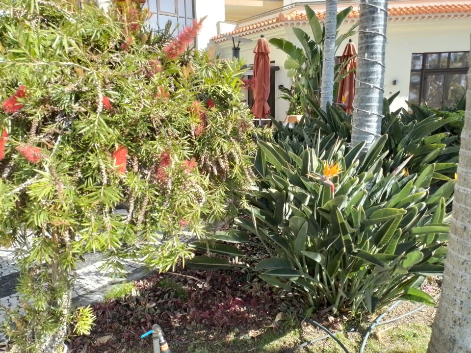 Gartenanlage Hotel Porto Mare - PortoBay