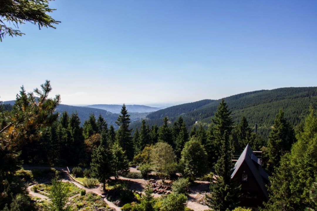 Ausblick Konsumhotel am Park