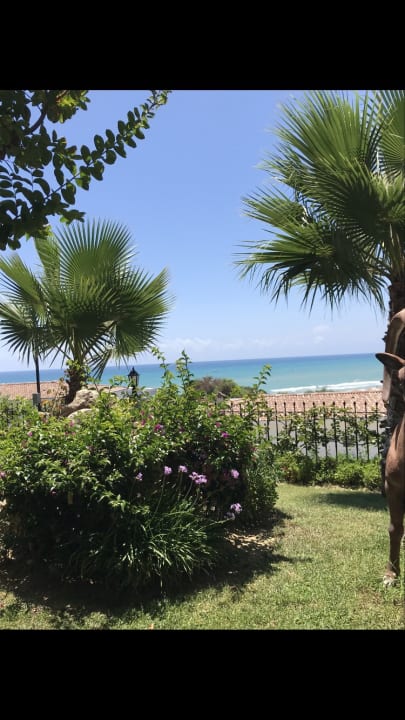 Ausblick Alba Queen Hotel