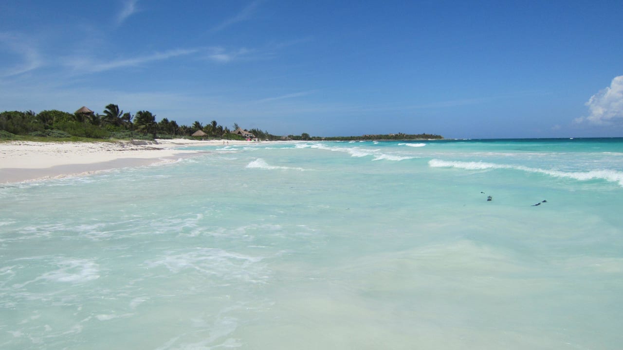Strand in unmittelbarer Nähe zum Hotel Catalonia Royal Tulum Beach & Spa Resort - Adults only