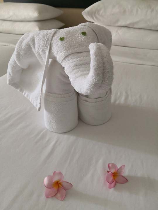 Zimmer Thaala Bentota