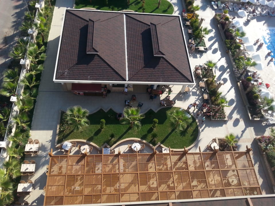 3 Dizalya Palm Garden