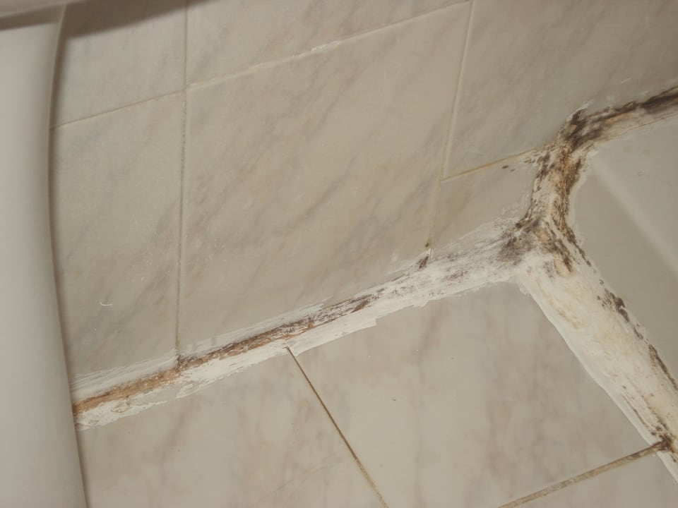 Łazienka Hotel Thalia