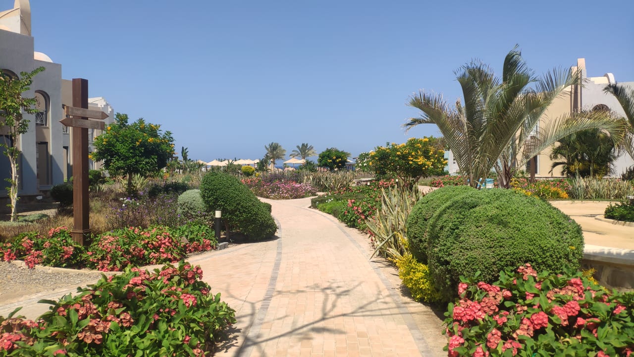 Gartenanlage Lazuli Hotel Marsa Alam