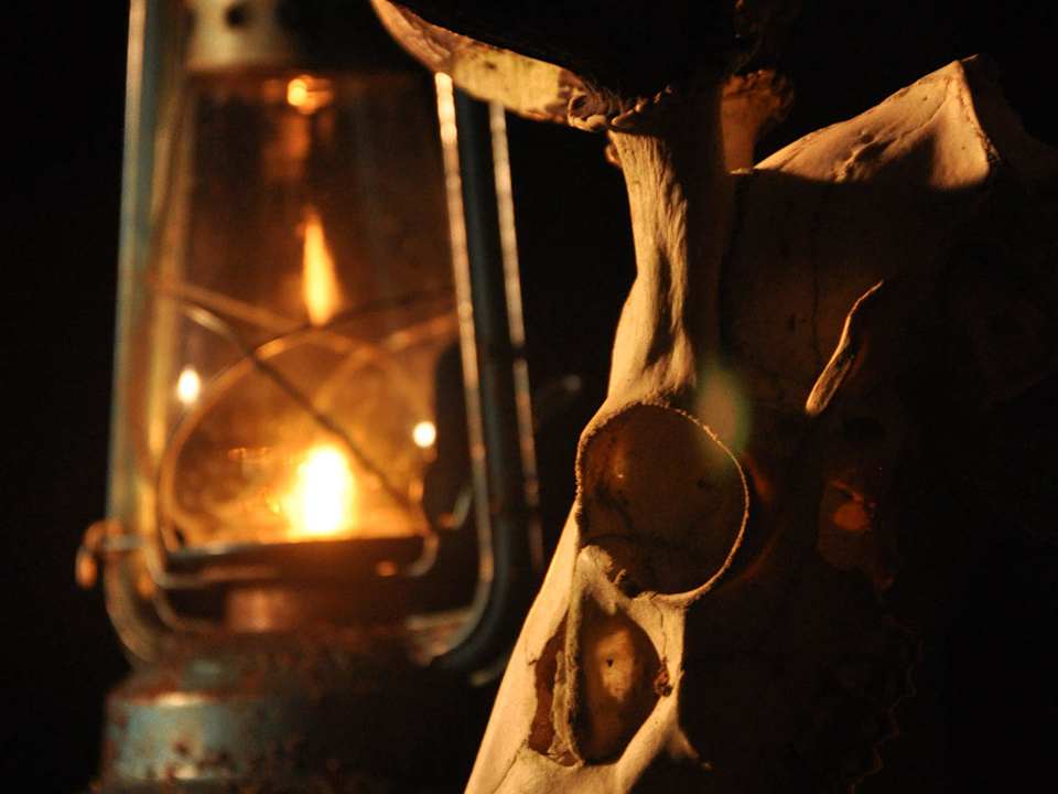 Wilderness view at night Mahoora Tented Safari Camp - Yala