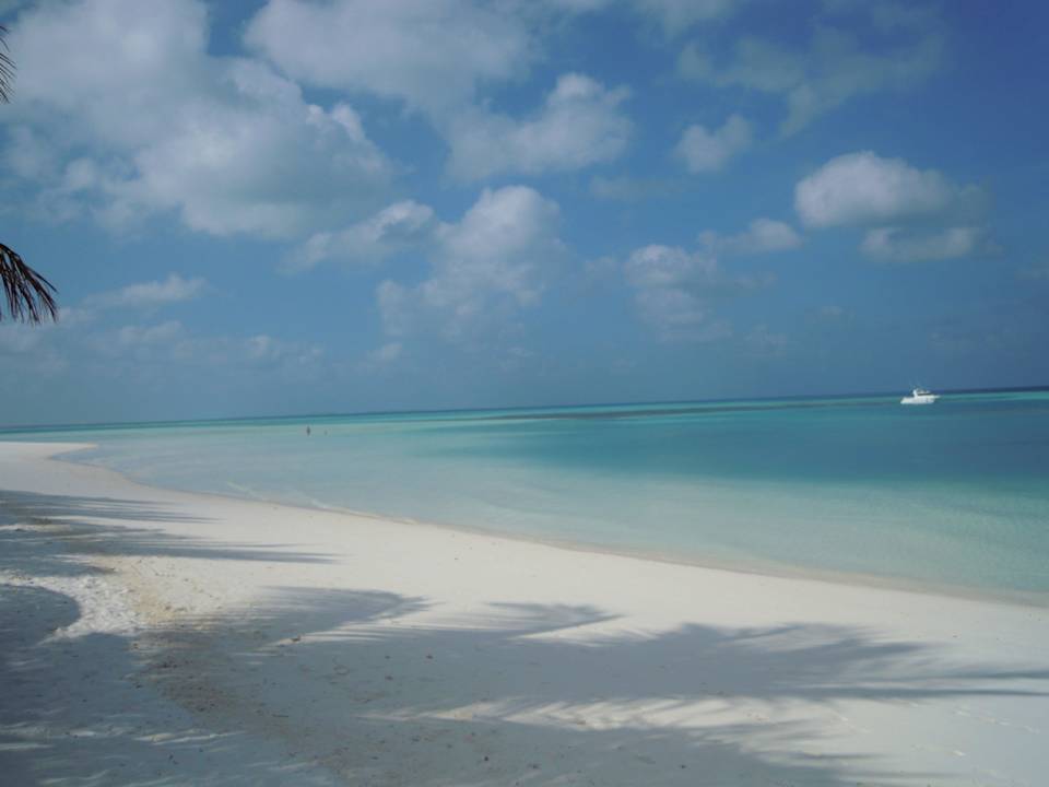 Ausblick von unseren Liegen Meeru Maldives Resort Island