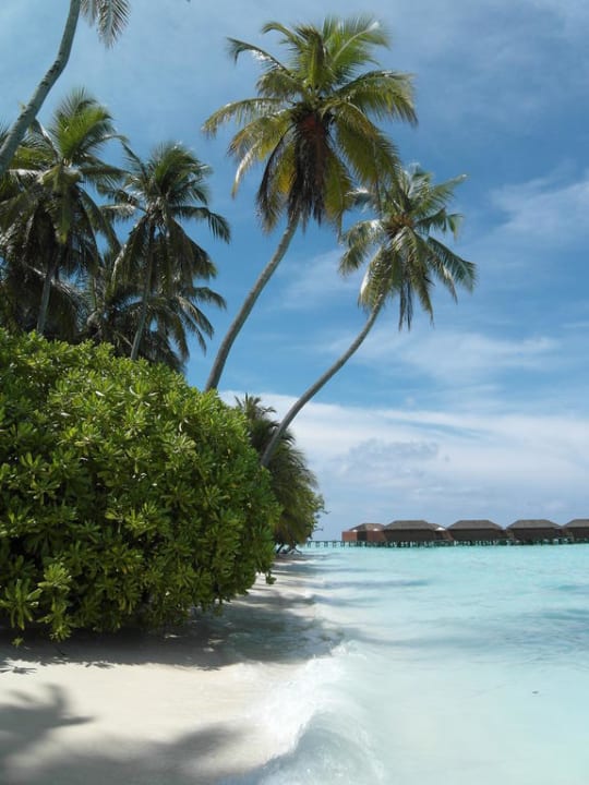 Strand bei der Beachvilla 249  Meeru Maldives Resort Island