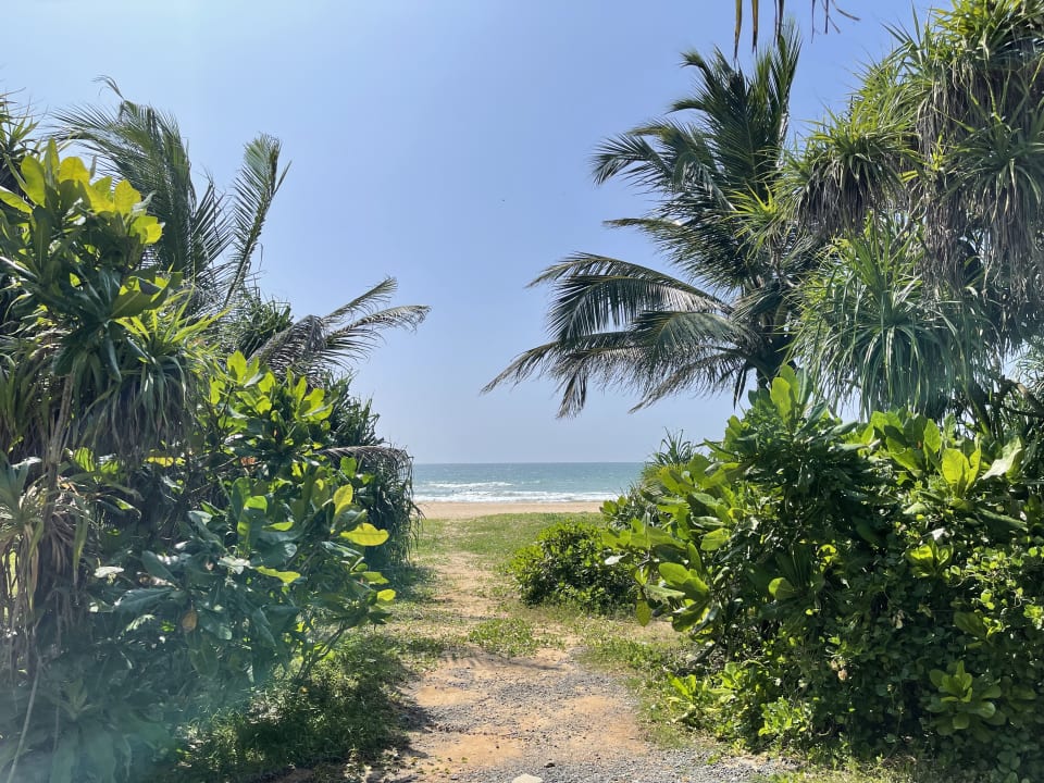 Außenansicht NH Bentota Ceysands Resort