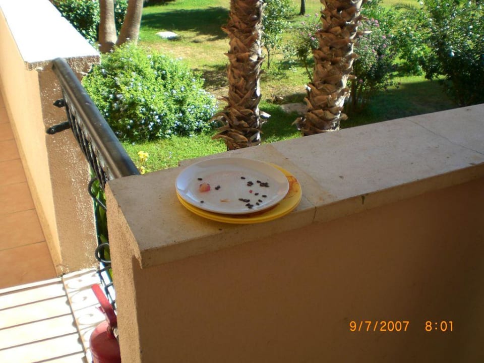 Essensreste Club Turtas Beach Hotel