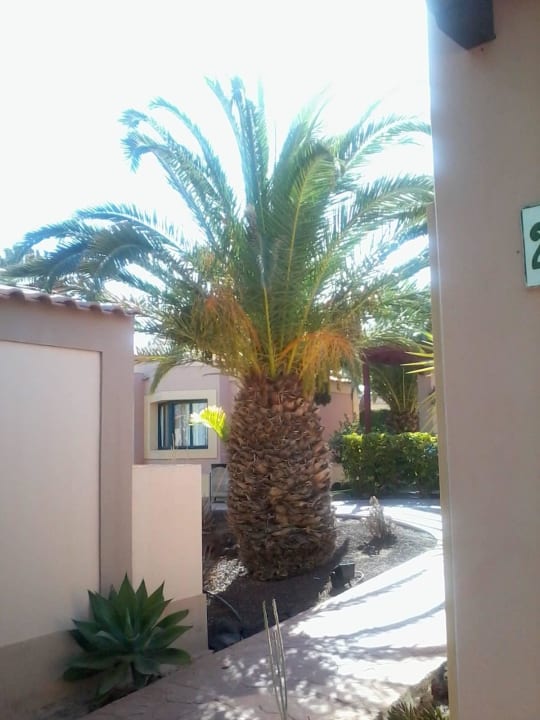 Gartenanlage allsun Hotel Esplendido