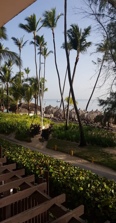 Ausblick Hotel Grand Palladium Palace Resort, Spa & Casino