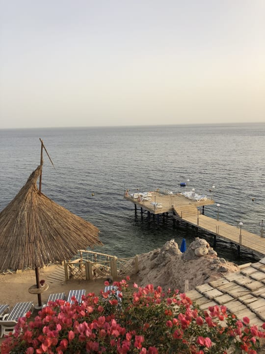 Ausblick Pickalbatros Golf Beach Resort