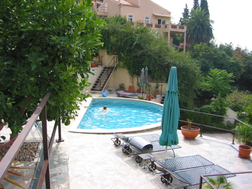 Villa "Les mimosas" : vue sur la piscine Maison d'hôtes Villa Les Mimosas