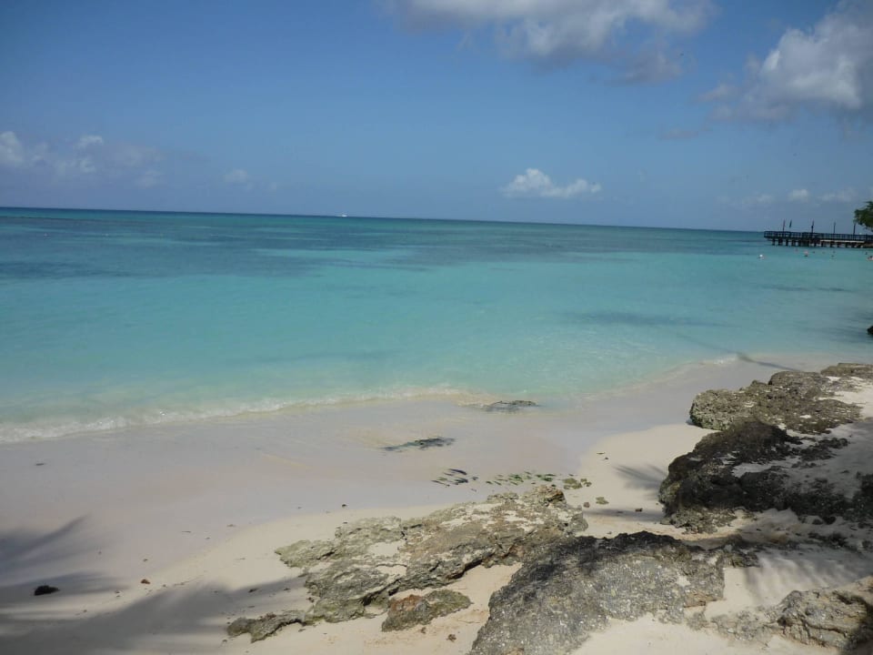 Einfach traumhaft Dreams La Romana Resort & Spa