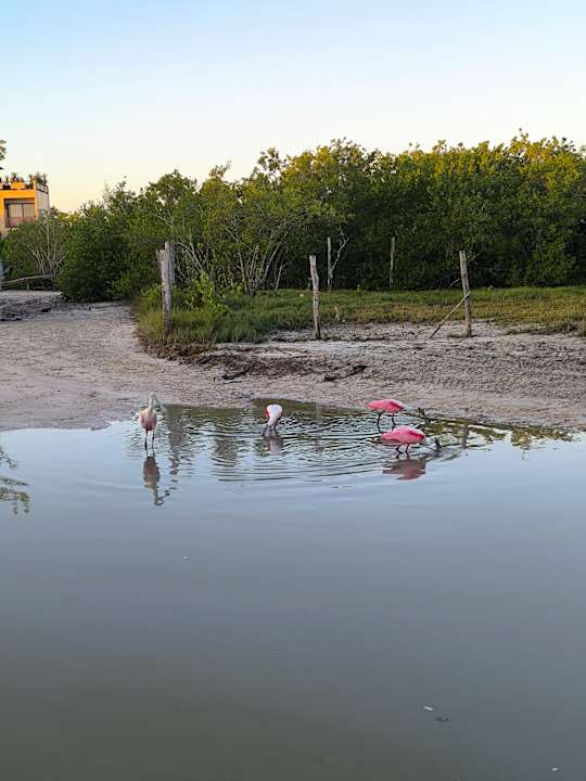 Sonstiges Hotel Casa Lumini Holbox