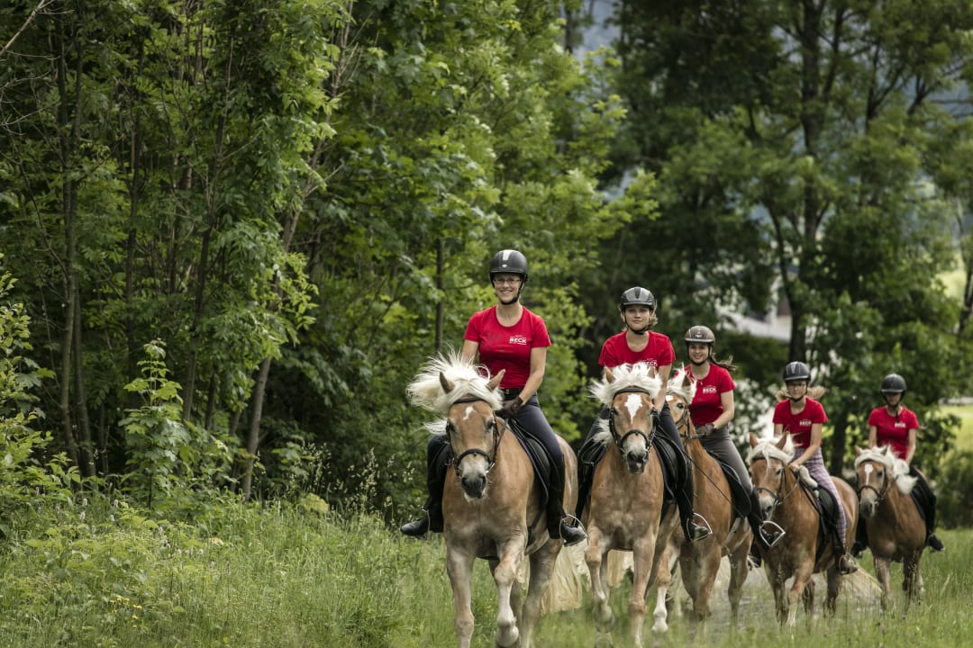 Sport & Freizeit Sporthotel Beck