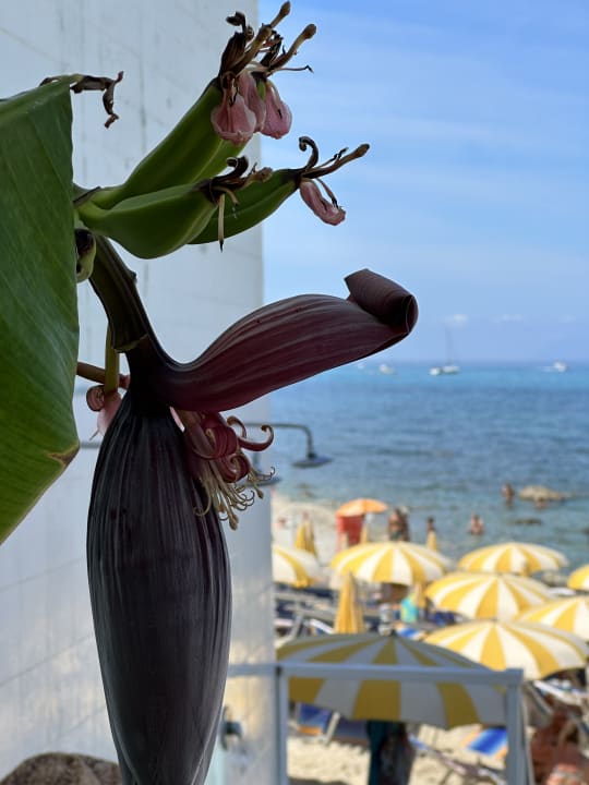 Ausblick Aldiana Club Rocca Nettuno Calabria