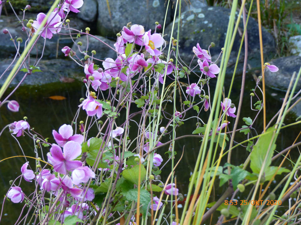Außenansicht Hotel Kohlerhof