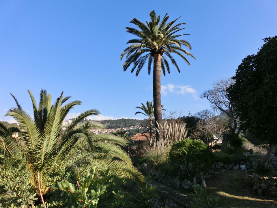 Die schöne Gartenanlage Hotel Es Port