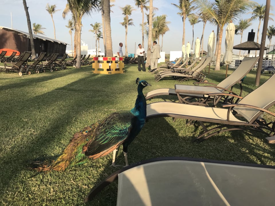 Strand JA Beach Hotel