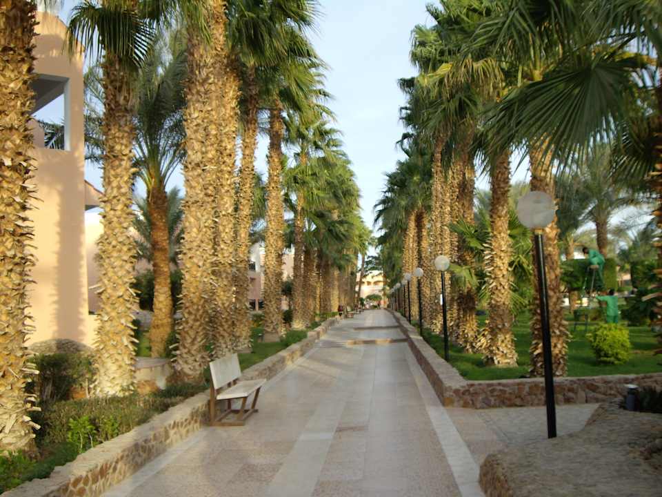 Hotel BEACH Albatros Resort & Spa Beach Albatros Resort