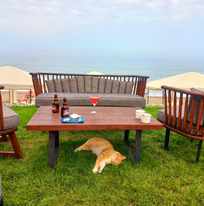 Gartenanlage TUI MAGIC LIFE Beldibi +16