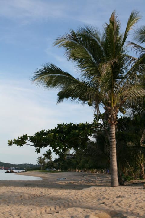 Strand Paradise Beach Resort, Samui