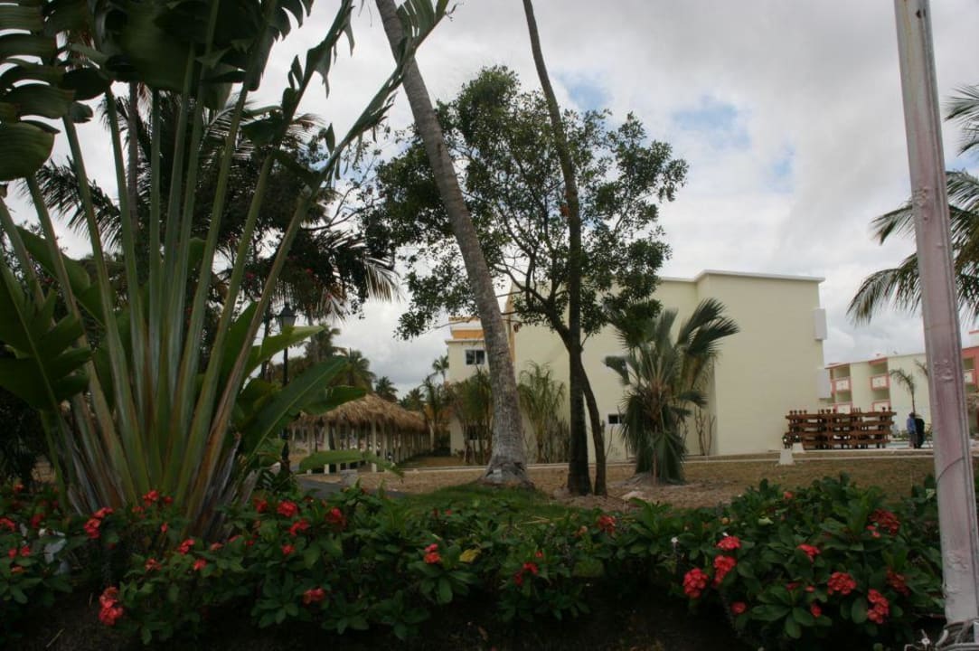 Neuer Royalbereich TRS Turquesa Hotel - Adults only