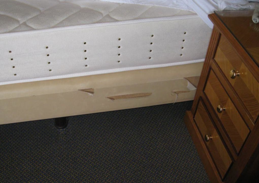 Mein Bett Hotel Riu Bravo