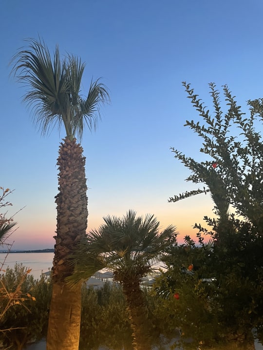 Gartenanlage Akrathos Beach Hotel