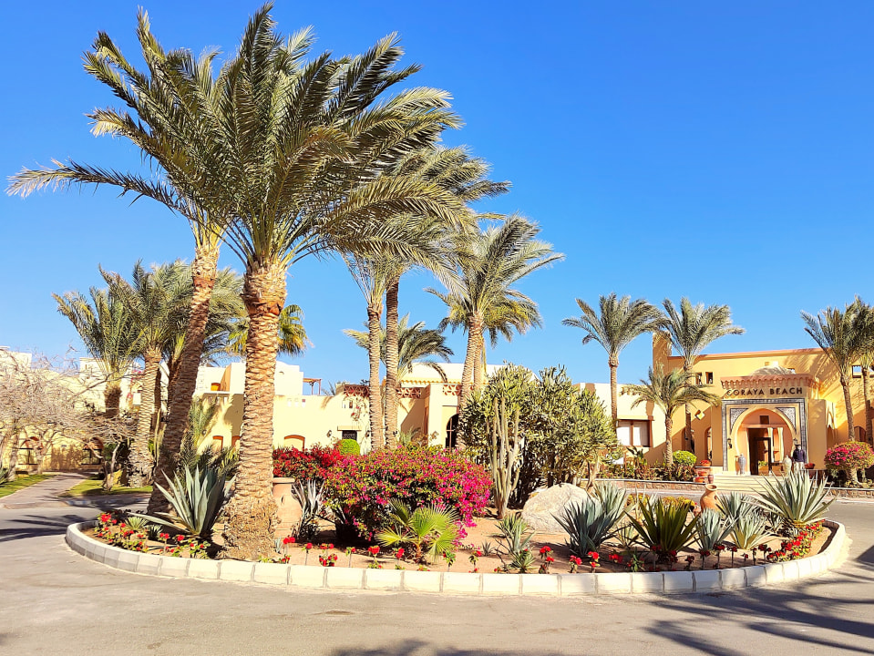 Gartenanlage Steigenberger Coraya Beach - Adults only