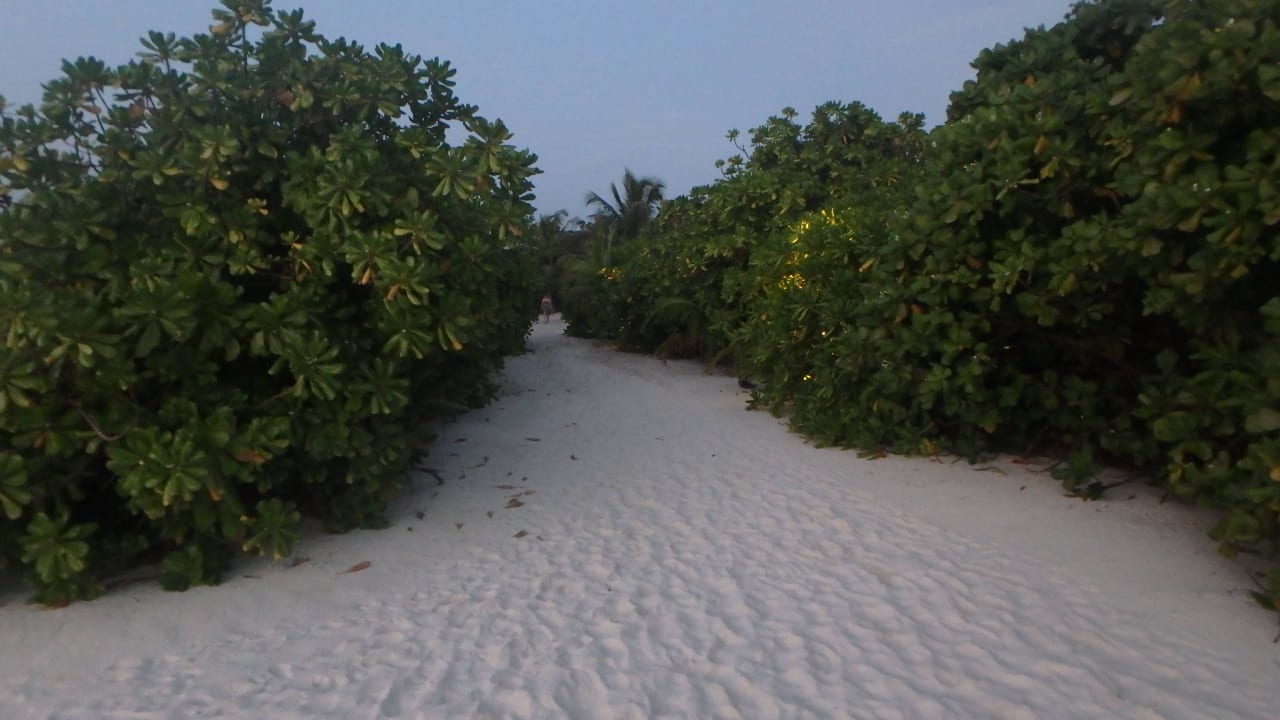 In der Nähe der Wasservillen  Kuredu Island Resort & Spa