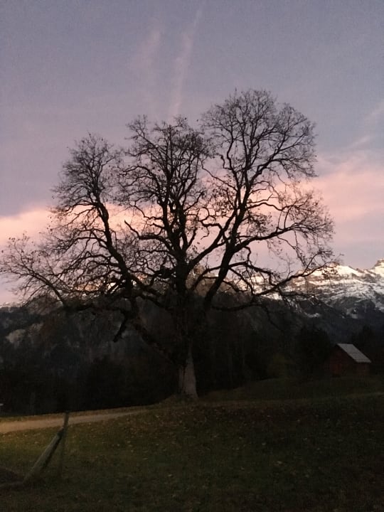 Ausblick Märchenhotel Braunwald