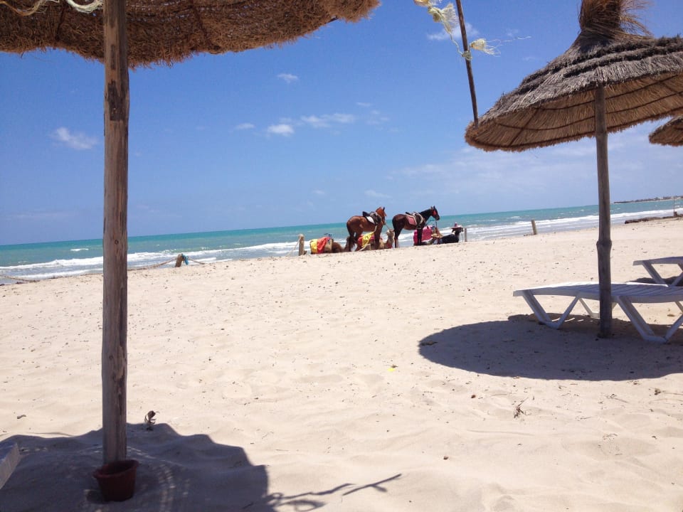 Der Strand ist sauber !!! Djerba Aqua Resort