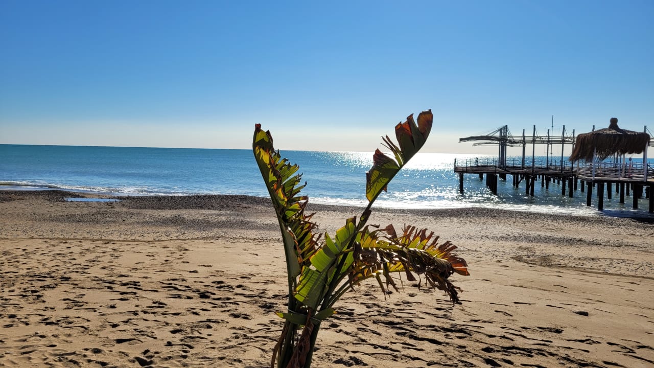 Strand Susesi Luxury Resort