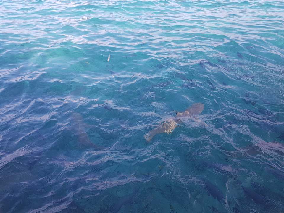 Strand Summer Island Maldives