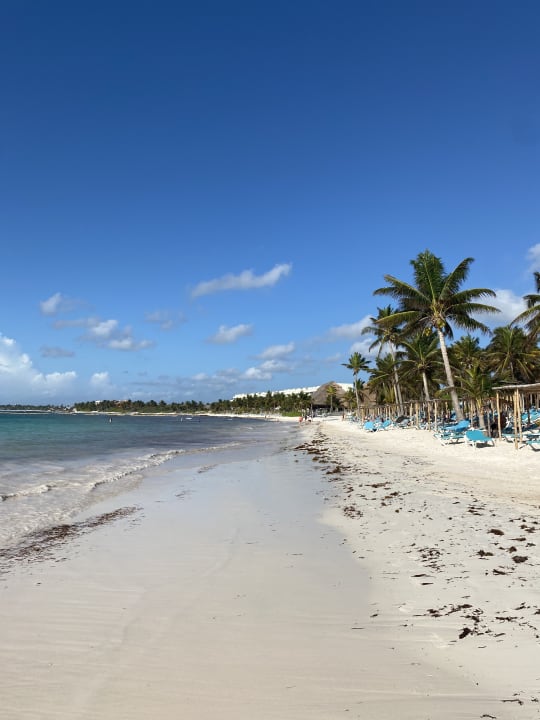 Strand Akumal Bay Beach & Wellness Resort