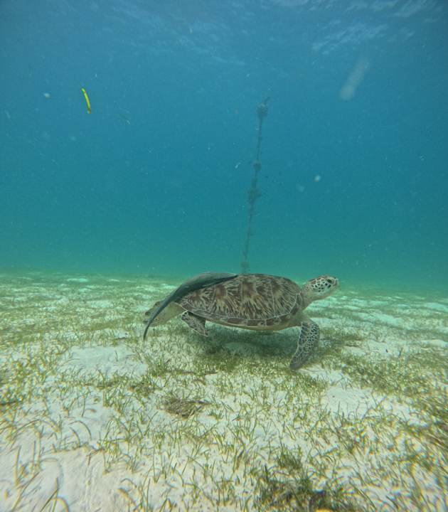 Sport & Freizeit Le Meridien Maldives Resort & Spa