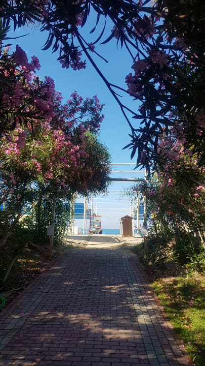 Gartenanlage Seaden Sea World Resort & Spa