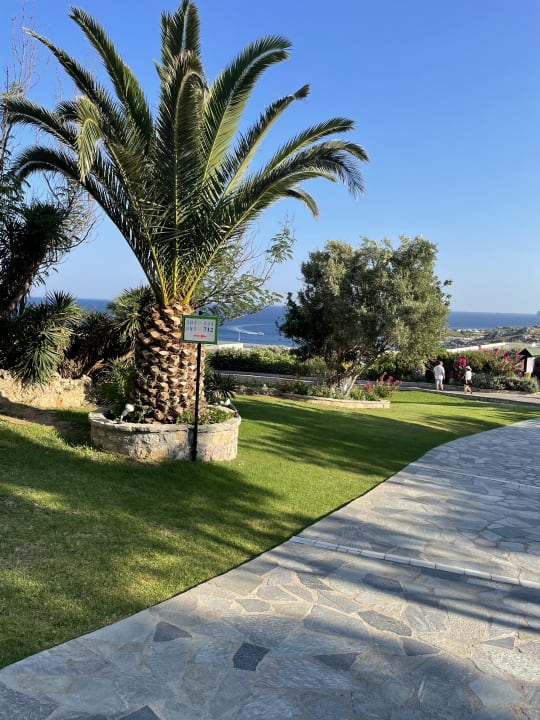 Gartenanlage Hotel Kalithea Horizon Royal