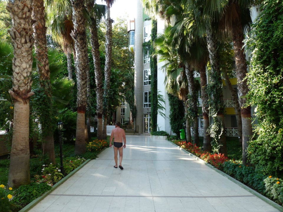 Toller Baumbestand Botanik Hotel & Resort