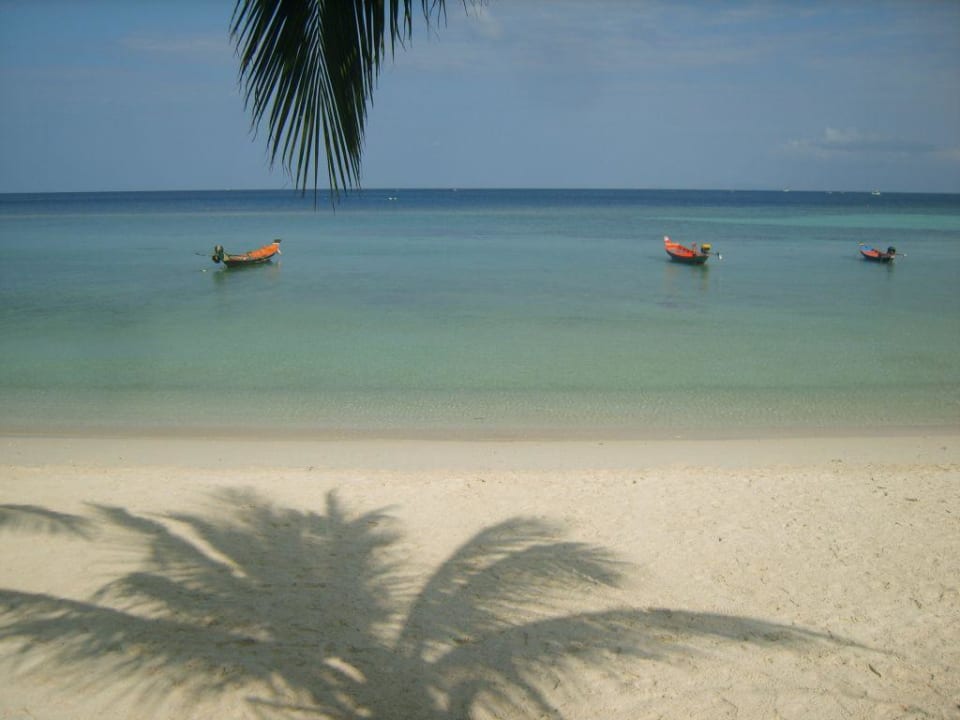 Ausblick vom Restaurant Hotel Salad Hut