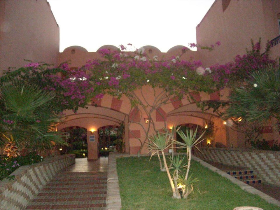 Makadi Oasis Jaz Makadi Oasis Resort