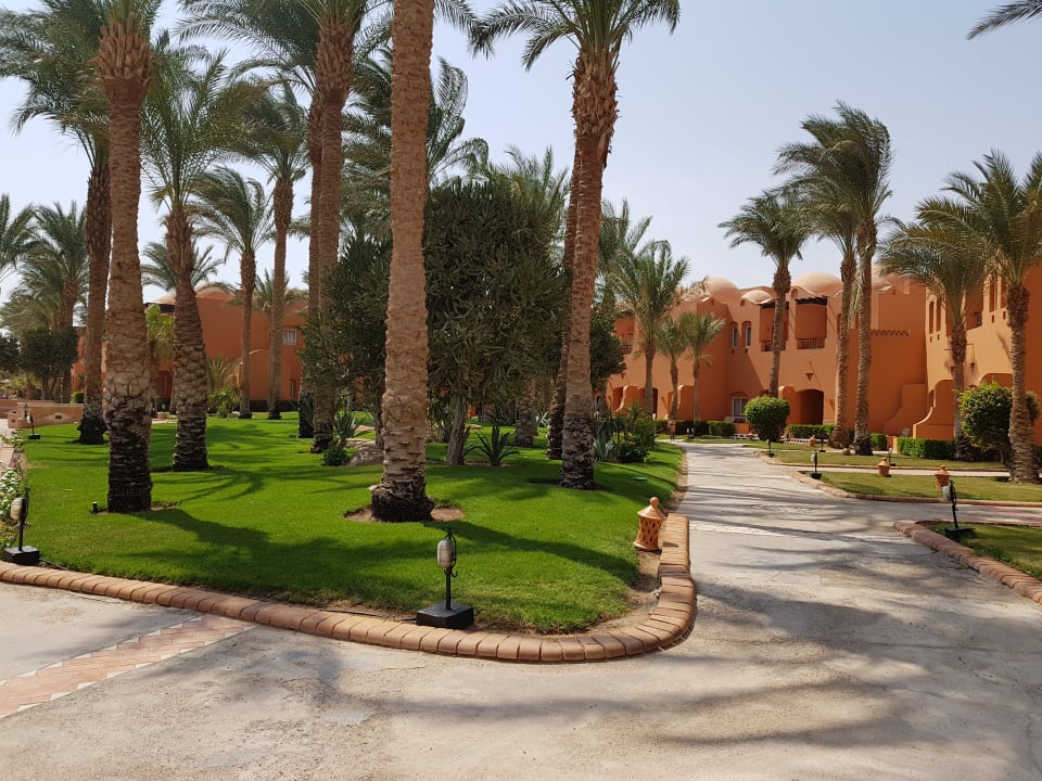 Gartenanlage Jaz Makadi Oasis Resort