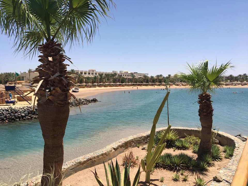 Ausblick Desert Rose