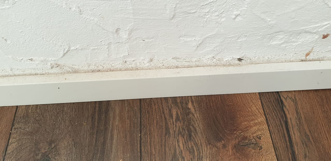 Zimmer Haus Gohlke am See