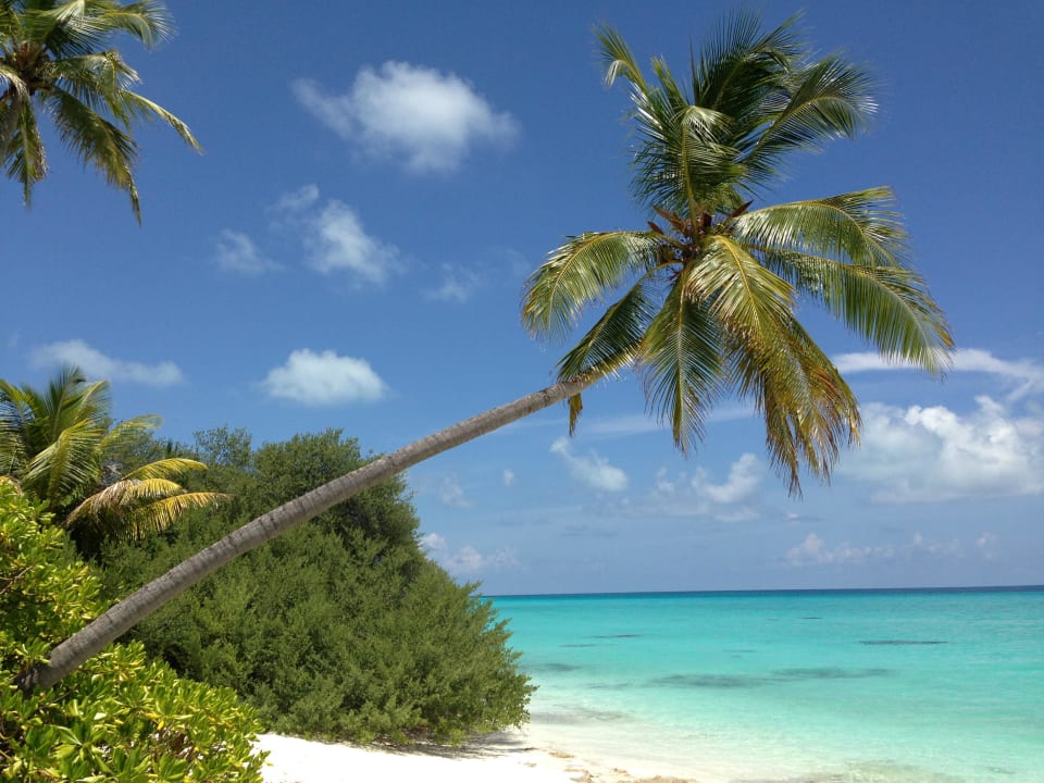 Hotel Kuramathi Island Resort Kuramathi Maldives