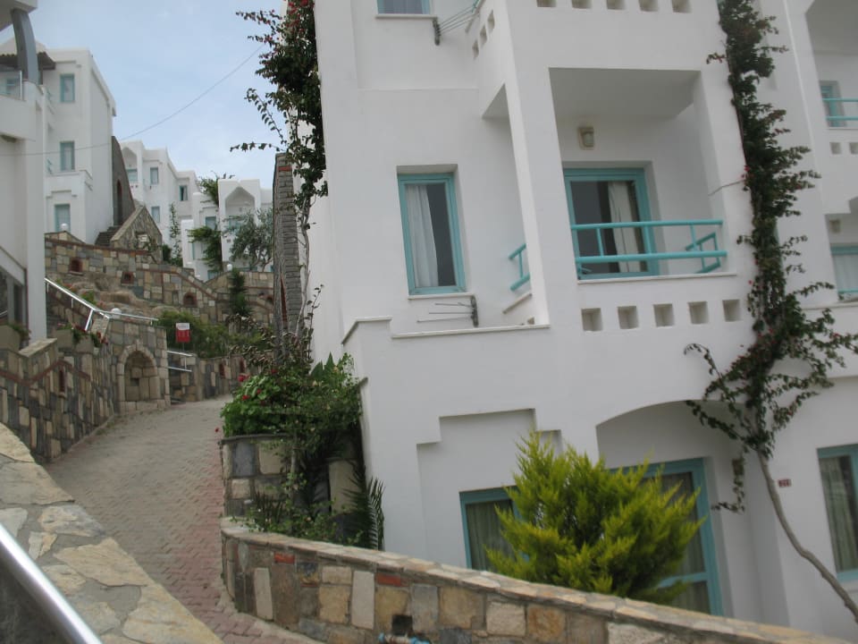 Wygląd zewnętrzny Afytos Bodrum