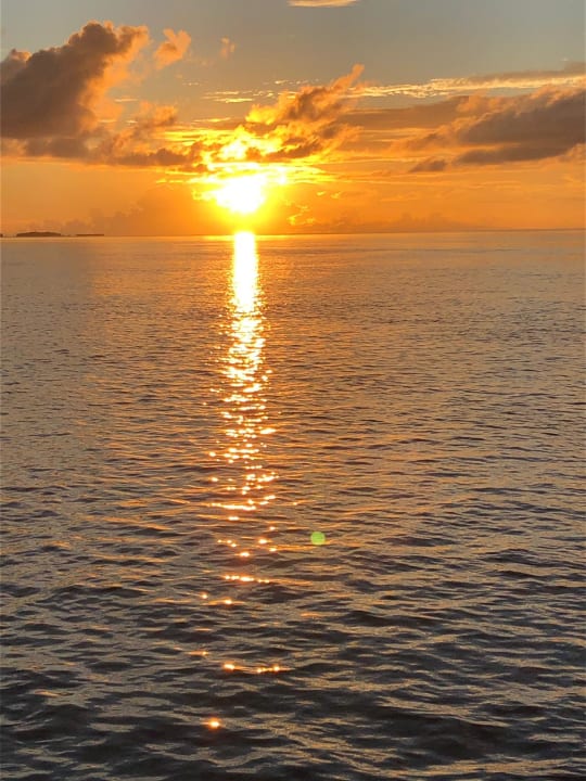 Ausblick Vilamendhoo Island Resort & Spa